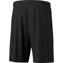 ERIMA TEAM Shorts